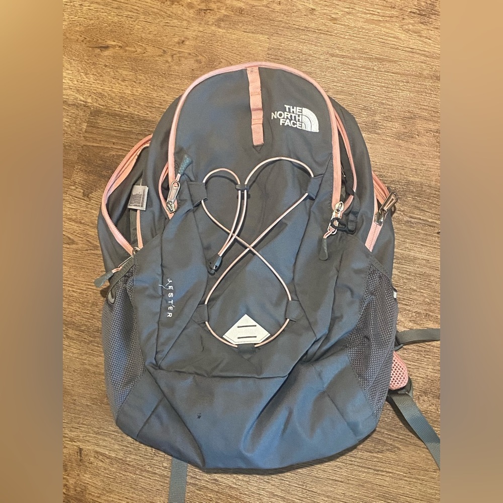 Pink Gray The NorthFace backpack